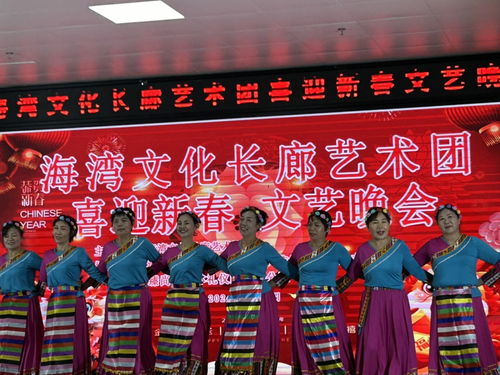 海灣文化長(zhǎng)廊藝術(shù)團(tuán)舉辦“喜迎新春”文藝晚會(huì)，共繪文化藝術(shù)交流新畫卷